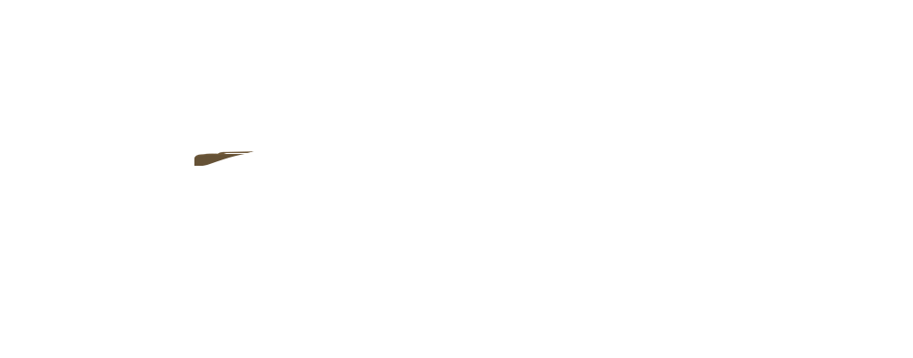 Color Overlay 3067