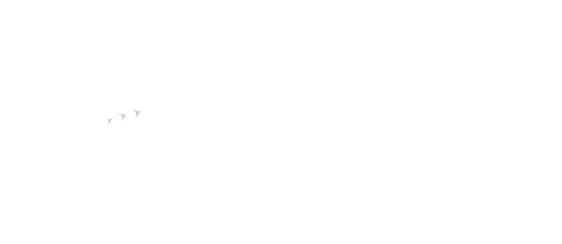 Color Overlay 3093