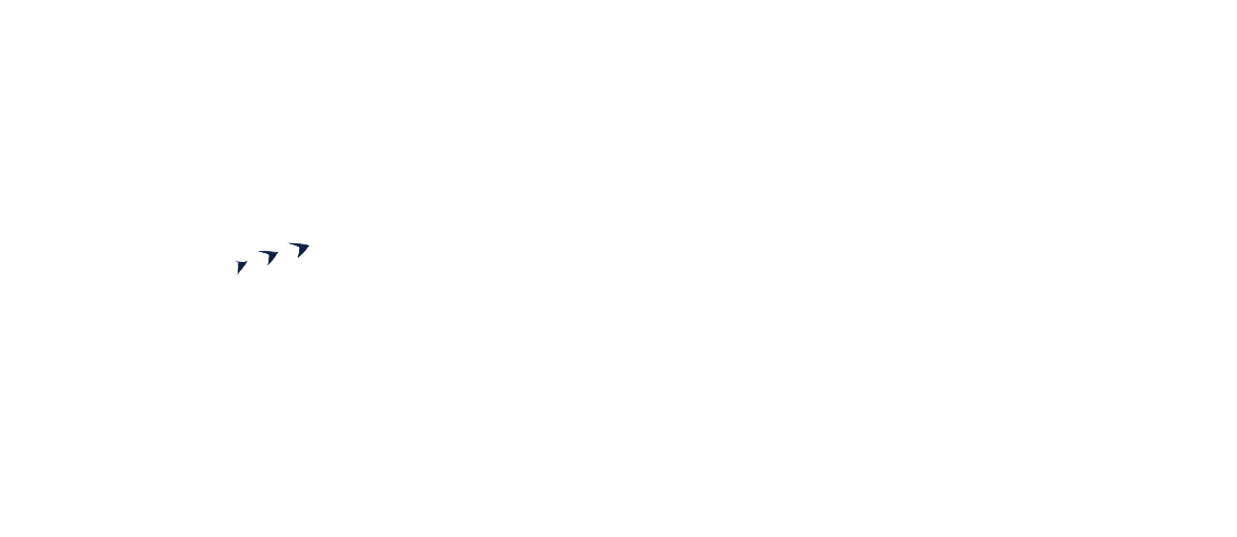 Color Overlay 3095