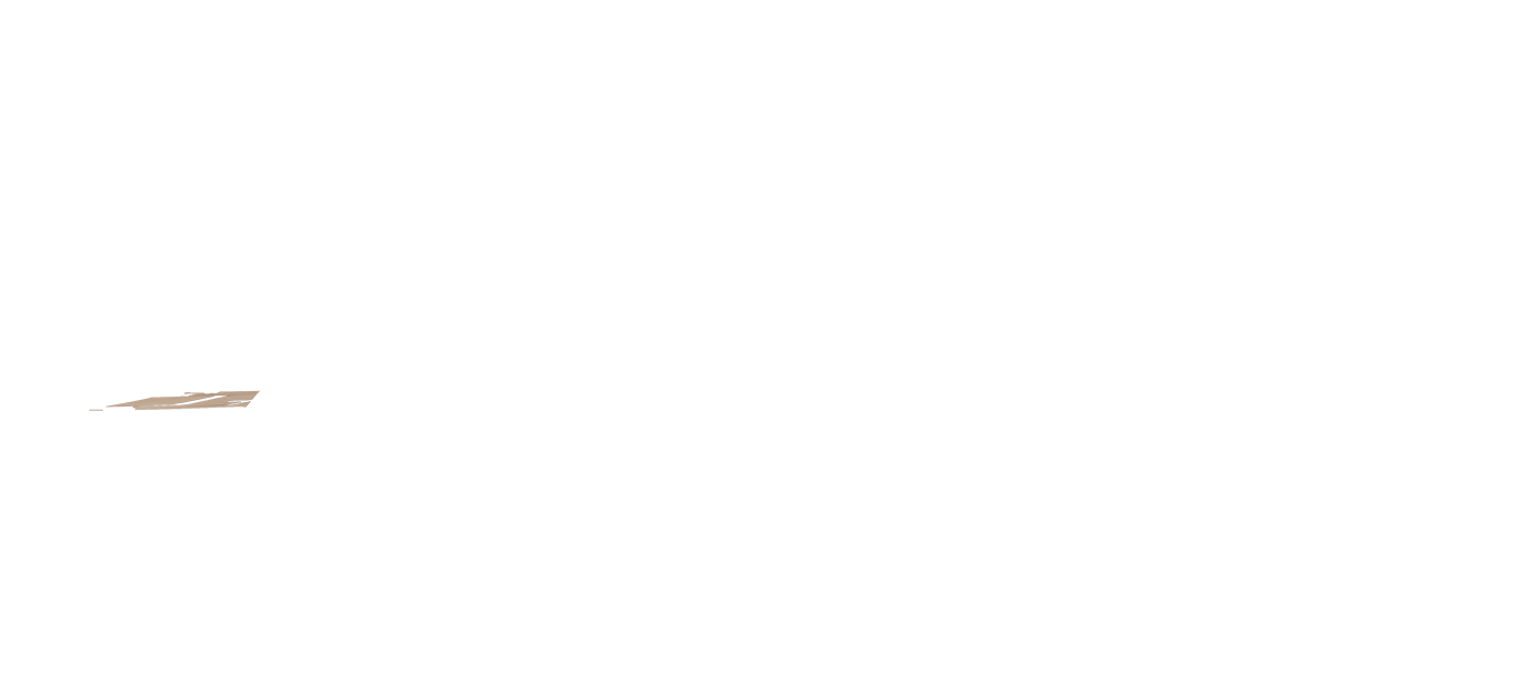 Color Overlay 3889