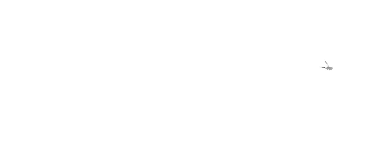 Color Overlay 3725
