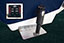 Trim Tabs with Indicator Lights